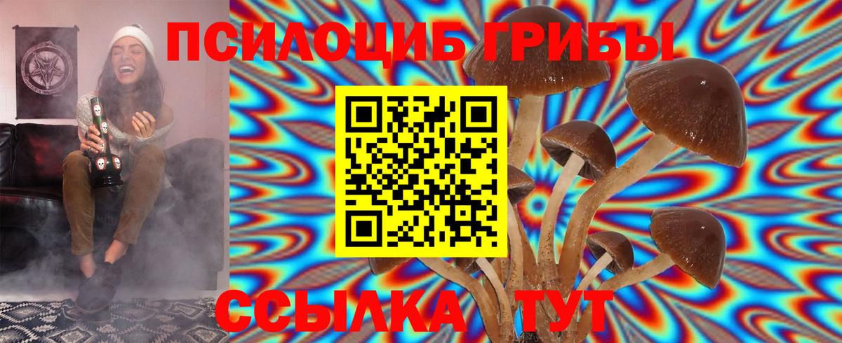 Псилоцибиновые грибы Psilocybine cubensis Менделеевск